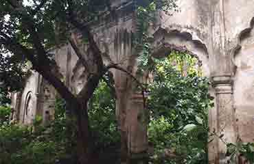 conservation