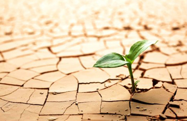 disaster-risk-reduction-&-response
